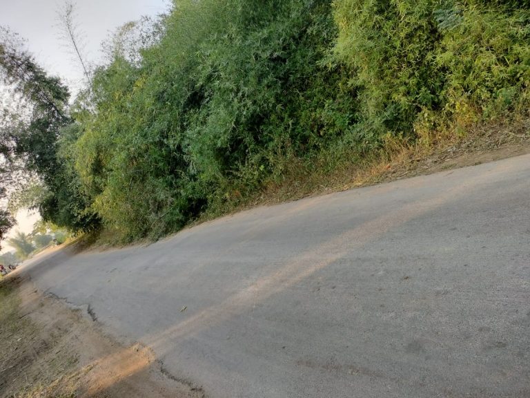 छुरा मार्ग के अगल बगल झाड़ियों से राहगीर परेशान ।