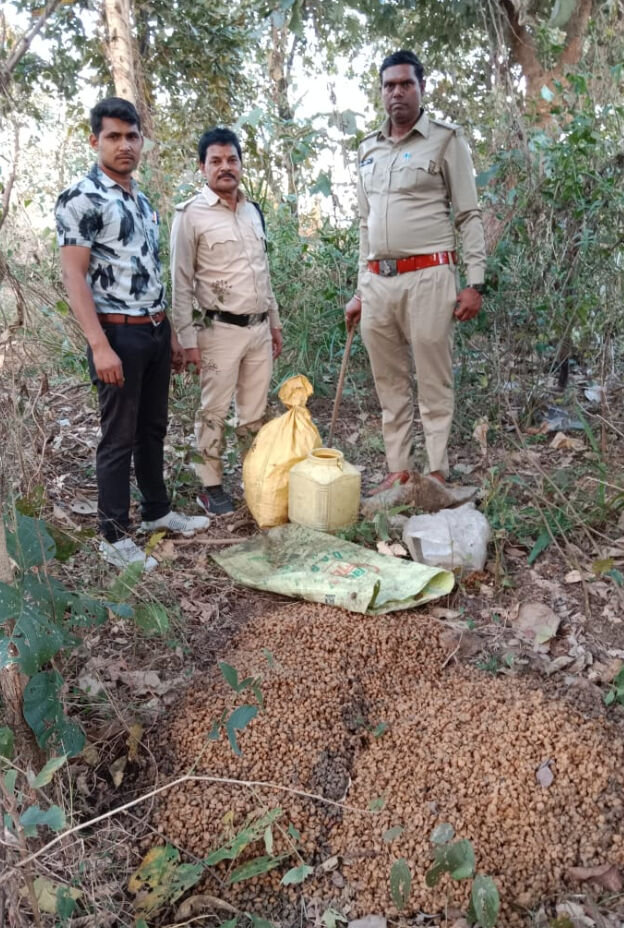 अवैध आसवित कच्ची शराब के विरुद्ध आबकारी विभाग महासमुंद की सतत कार्रवाई जारी।