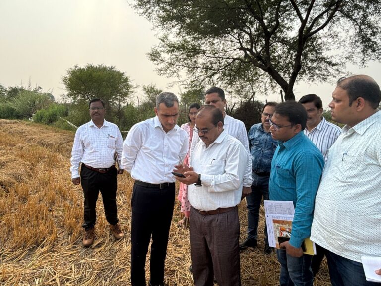 कलेक्टर श्री शर्मा ने किया गिरदावरी सत्यापन ।