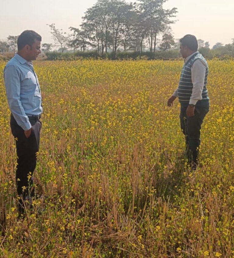 जल संरक्षण से आय दिवस तक: धमतरी की रबी झील की सफलता की कहानी